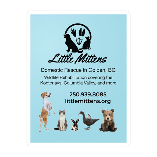Wildlife Rescue Kiss-Cut Vinyl Decals - Little Mittens
